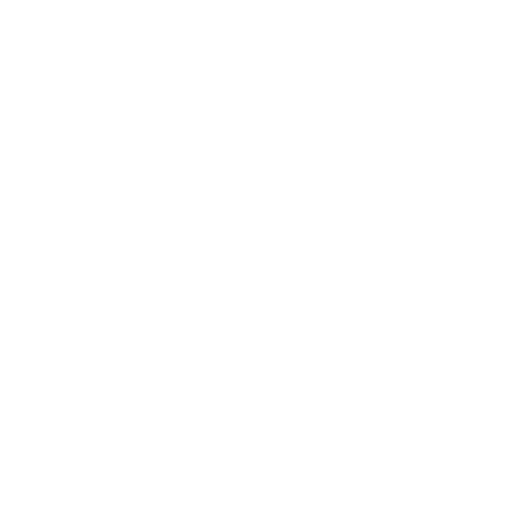 z logo npg